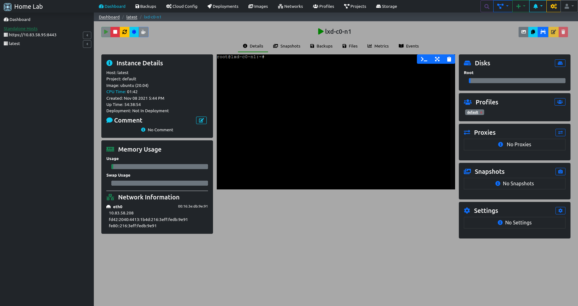 LXDMosaic Instance View